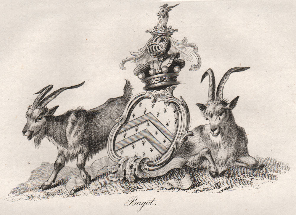 BAGOT. Coat of Arms. Heraldry 1790 old antique vintage print picture